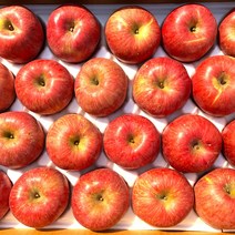 영월 영특한 사과 5kg/10kg, 5kg 17과