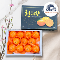 [국내산 100%] 제주 고당도 천혜향 천혜양 제주도 만감류 선물세트, 가정용 10kg (혼합과 / 50과수내외)