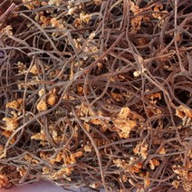 [지리산농부마을] 지리산 야생 고사리 건고사리 2023 햇고사리, 1개, 300g