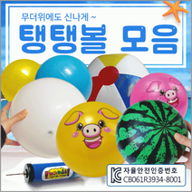 탱탱볼탱탱볼/비치볼/수박탱탱볼/KC인증/비치볼/수박공/비취볼/공/축구공, 펌프