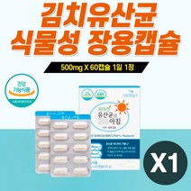 프리미엄 공복유산균 알약형 200억 신바이오틱스 장내 유익균 식이섬유 치커리뿌리 코팅캡슐 멀티 프리 프로 신 바이오틱스 엘지지 알지지 LGG RGG 바이오텍스 종합 복합 유신균