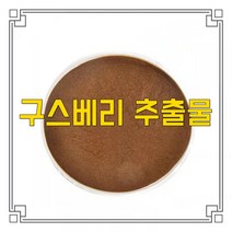 소율국제 구스베리 양까치밥 나무 열매 고농축 추출물 분말, 10:1, 1000g, 1개