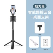 팔로우캠 360도 회전 전자동 스마트폰 안면인식 디더링 동영상 촬영 및 카메라 촬영기, 옵션2
