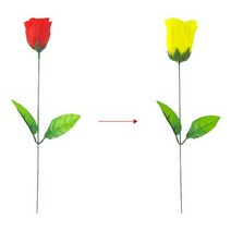 컬러체인지 꽃 장미 초등 어린이 마술도구 유아 과학원리 장난감 방과후 어린이집 교구 신기한 과학