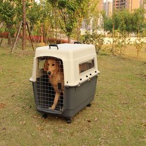 케이엔피 강아지이동장 반려동물이동장 켄넬, 베이지+회색
