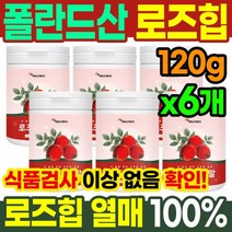 로즈힙 추출 분말 파우더 120g 6통 하이페로사이드 티리로시드 로즈힙 추출물 가루 루비잔틴 필로퀴논 로즈힙분말효능 폴란드산
