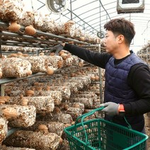 무농약 표고버섯 생표고버섯 하품 1kg, 단품
