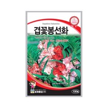 모칸도 세계 봉선화(겹꽃) 꽃씨 100립
