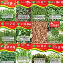 살아있는 새싹씨앗 모음 새싹 종자 년중 재배 모듬 귀리 비트 루꼴라 밀 보리 무순 브로콜리 케일 청경채 롤로로사 씨 키우기, P-새싹모둠 x 1개