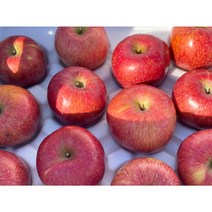 [호야네농장] 거창 부사 꿀맛나는 사과, 5kg 중소과 (18과~20과)