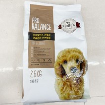 [몰리스]프로발란스 관절강화 및 연골보호 전연령 CT1 2.6kg, 단품, 단품