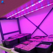 쑥쑥크는 국산 LED식물등 엘이디 식물용 재배용 생장등 램프 재배등 화초 성장등 조명 광합성 전등 다육이 그린 풀나와전구 방수 베란다 식물 재배, 선택05. 식물재배 LED바 방수 1M
