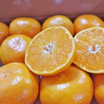 허니삼구 고당도 새콤달콤 조생감귤 2.5KG 5KG, 1박스, 5KG내외(L-2L)