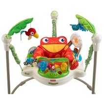 피셔프라이스 엑티비티 레인포레스트 개구리 점퍼루와 디즈니 미니마우스 점퍼루 Fisher-Price Jumperoo Baby Activity Bouncer, 피셔프라이스 개구리 점퍼루(초록)
