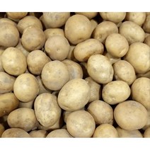 포슬포슬 맛있는 햇감자 수미감자 사이즈별, 중, 3kg