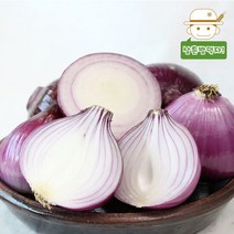 아삭아삭 달큰한 웰빙푸드 자색양파(대특혼합) 5kg, 단품