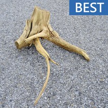 유목 대형 61cm 국산