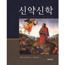 신약신학, 부흥과개혁사