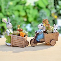 다육이화분 리톱스 아악무 듀가르손 만손초 트리옵스 다육이알뜰장터 다유기, 삼륜자동차