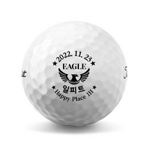 39 이글 기념 골프공 로고 인쇄 소량 제작 (6구), 볼빅 비비드 화이트 6구, B