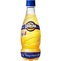 롯데칠성음료 오랑지나 420ml