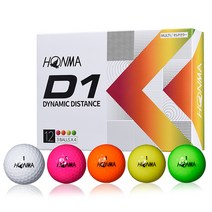 혼마골프정품 2022 NEW D1 2피스 골프공 비거리 병행, 화이트
