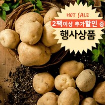 강원도 프리미엄감자 스테비아감자 샤인감자 수미 휴게소알감자 600g, 스테비아 감자 600g 1팩, 1개