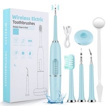 셀프 치석제거기 스케일링 dental calculus remover oral, B형