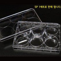 과학 실험용 홈판 6홀 5p 투명 스탠드 어린이과학 실험교구 방과후교실 중등과학 과학실험키트 교육완구