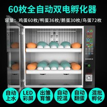 부화기 입문용 2021년 신상품 조류 자동 부화 병아리 계란부화기 36란 실험, 34. 계란부화기 60란