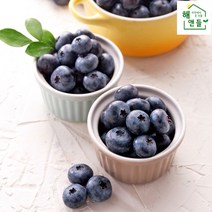 23년 산지직송 햇 블루베리 생과 왕왕특 왕특 특 상, 특 (16mm~18mm) 500g