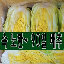 속 노란 90일 배추 괴산 절임배추 20kg (7-9포기) 도착일을 선택해주세요., 도착일 2월 23일