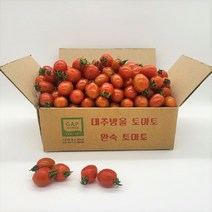 롯데백화점넉넉 대추방울 토마토 1kg3번-4번과중소과 예약상품 2023.10.04 부터 발송 818673
