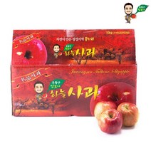 주왕산 털보네 꿀사과 5kg 실중량/소과 외 사이즈별 골라담기, 04. 털보네 명불허전 사과 10kg