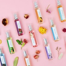 더허브샵 미니 향수 12종 명품 퍼퓸 향기 휴대용 18ml, 아쿠아아티산, 아쿠아아티산