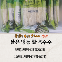 삶은 찐 냉동 괴산 대학찰 옥수수 실속형 20개 40개, 삶은 냉동 찰옥수수 실속형20개