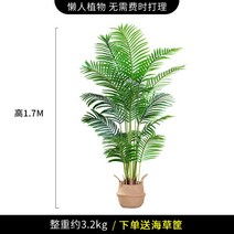 조화나무 인테리어화분 인조 나무 대형 거실 개업 선물 장식 식물 시뮬레이션 화분 바나나나무 장식 조경, 아네모네 170cm