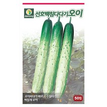 새론 삼척 오이 씨앗 50립 - 가시오이 오이씨앗 야채씨앗 채소씨앗 채소재배 종묘 종자 베란다 텃밭 씨 씨앗 호박 방울토마토 수박 참외, 04_다농_선호백침다다기 오이(50립)