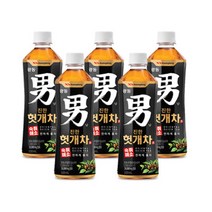 광동힘찬하루헛개차500ml X5개