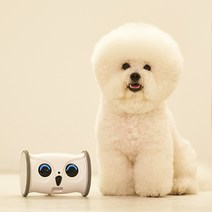 강아지로봇장난감 판매순위