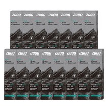 2080 퓨어 블랙치약 차콜 프레쉬민트 숯치약, 15개, 125g