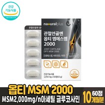 옵티 msm 2000 글루코사민 정 엠에스엠 식이유황 n아세틸글루코사민 뼈 관절 연골 건강 도움 영양제 건강기능식품 40대 50대 60대 70대 80대 남성 여성, 10개월분, 60정