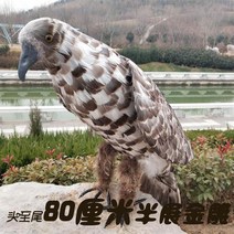 독수리 날개 인형 장식 모형 전시 새 쫓는 소품, 회색