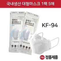 위케어 KF94 마스크 대형 1팩 5매 식품의약품안전처 허가 비말 학생 필수품