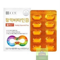 비타민B 활력 플러스 종근당 x 800mg 60정, 상세페이지 참조, 상세페이지 참조, 상세페이지 참조, 상세페이지 참조, 상세페이지 참조