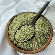힘찬농부오달봉 2022년 햇 국산 녹미 녹진주 녹색쌀, 1포, 2kg
