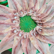 반건조옥돔 8마리 특대 (290g~330g이내) 옥두어 제주도 동문시장 한일농수산 *선물용 추천 사이즈*, 반건조옥돔 (290g이상) 8마리