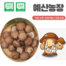 GAP인증 무농약인증 생표고버섯 산지직송 선물추천 끝내주는 화고 특품 명절선물 농장직송 이육식, 화고 -3kg