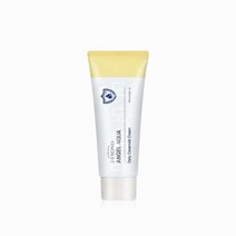 비욘드 엔젤 아쿠아 데일리 세라마이드 크림 100ml, 비욘드 엔젤 아쿠아 데일리 세라