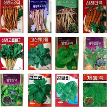 민속채소 약초 씨앗 종자 산마늘 도라지 야관문 방아 더덕 냉이 취나물 곰취 와송 곤달비 개똥쑥, 1. 산천도라지5g